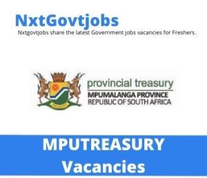 Mpumalanga Department of Provincial Treasury Vacancies 2022 @treasury.mpg.gov.za