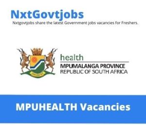 Department of Health Chief Construction Project Manager Vacancies in Nelspruit 2023