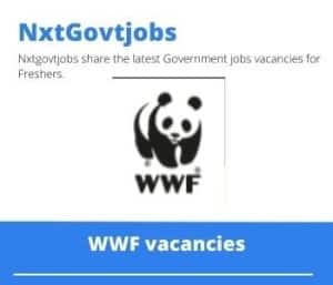 WWF Project Leader Vacancies in White River – Deadline 07 May 2023