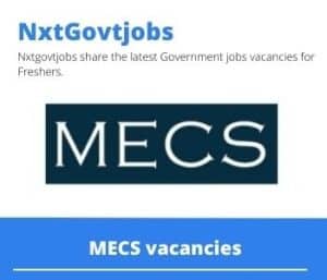 MECS EPC SMPP Mining Project Construction Manager Vacancies in Nelspruit – Deadline 14 Sep 2023